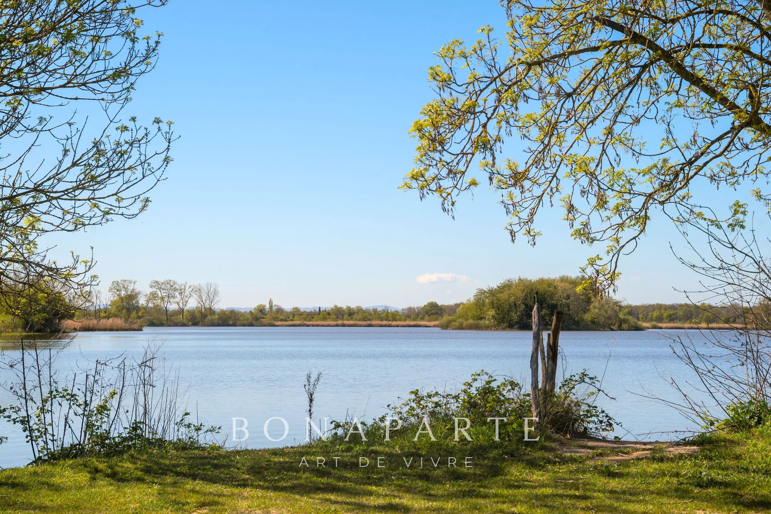 PROPRIÉTÉ EXCEPTIONNELLE DANS LA DOMBES- 118 ha DE PRAIRIES, BOIS ET ETANG